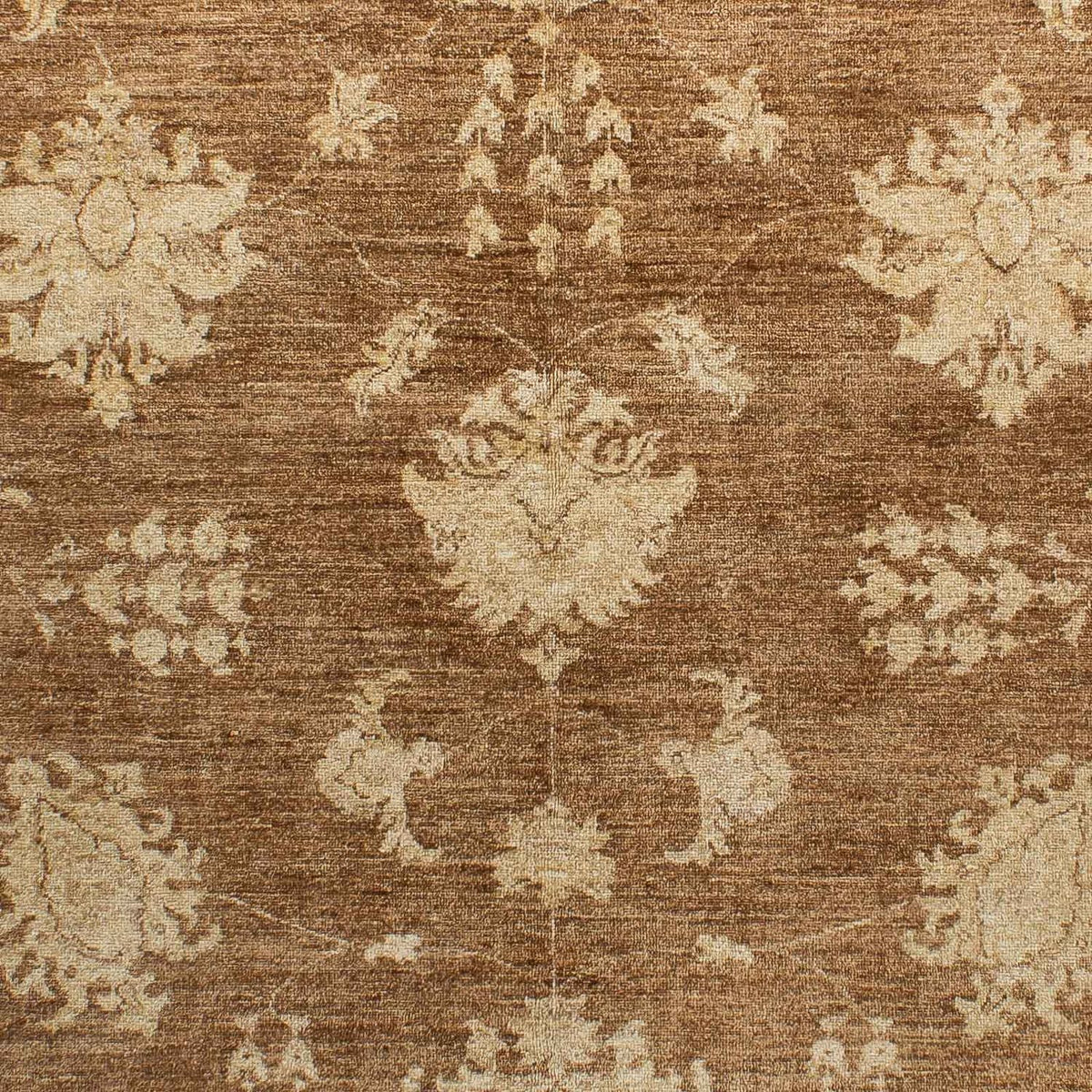 Ziegler Carpet - 240 x 170 cm - mörkbrun