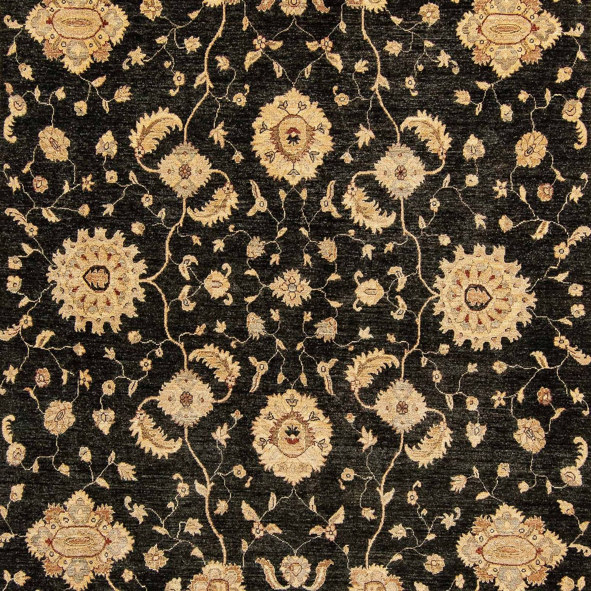 Ziegler Carpet - 424 x 293 cm - mörkblå