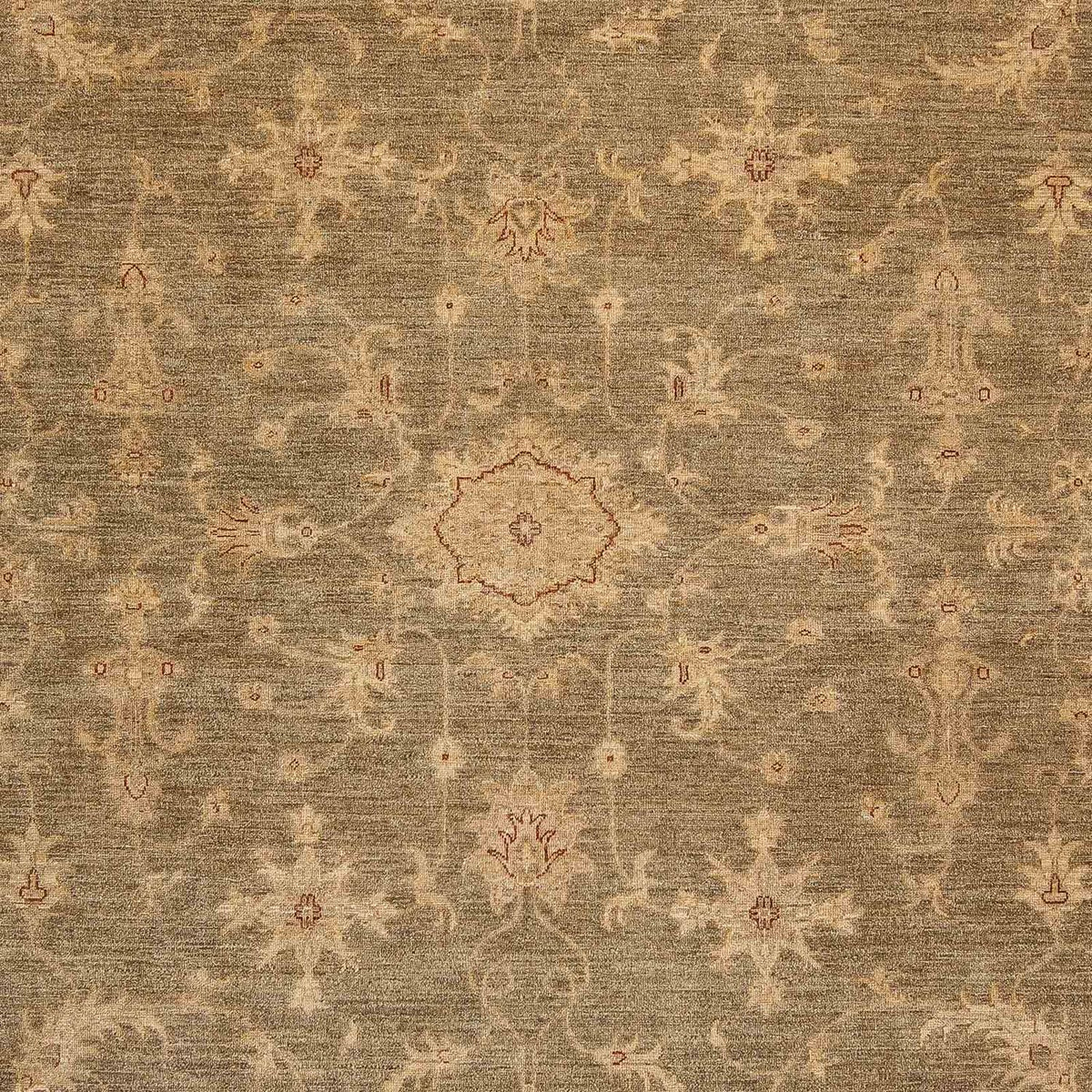 Ziegler Carpet - 353 x 248 cm - ljusbrun