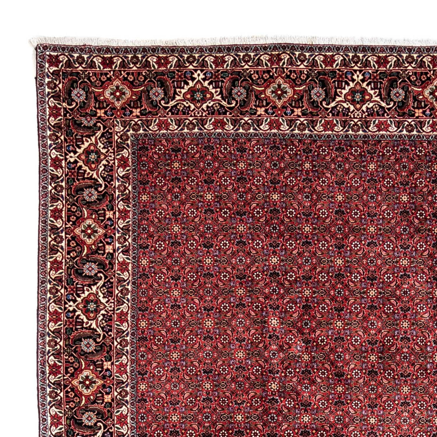 Bidjar - Takab Mattan 338x250cm - Persisk matta