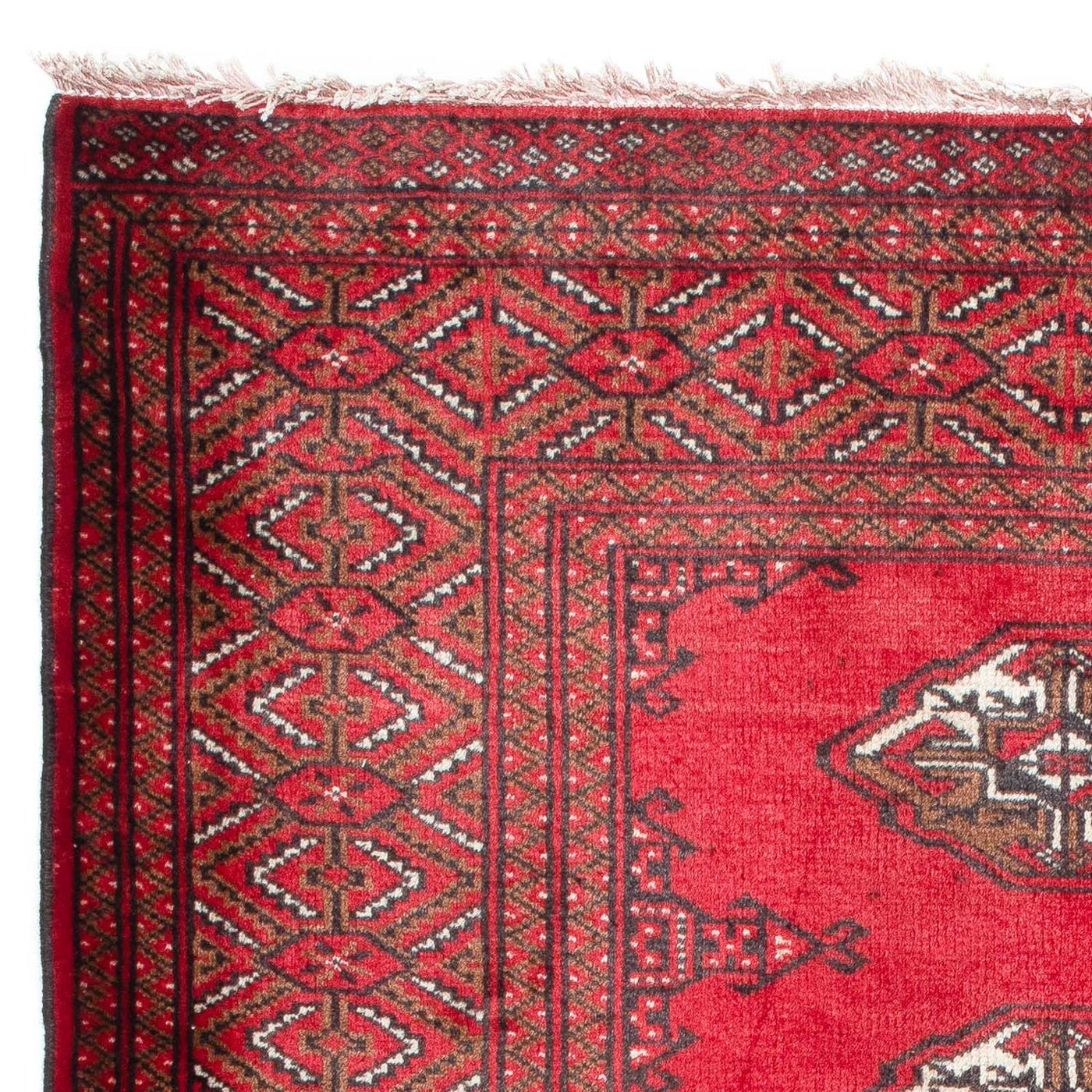 Baluch-matta 144x103cm - Oriental Carpet