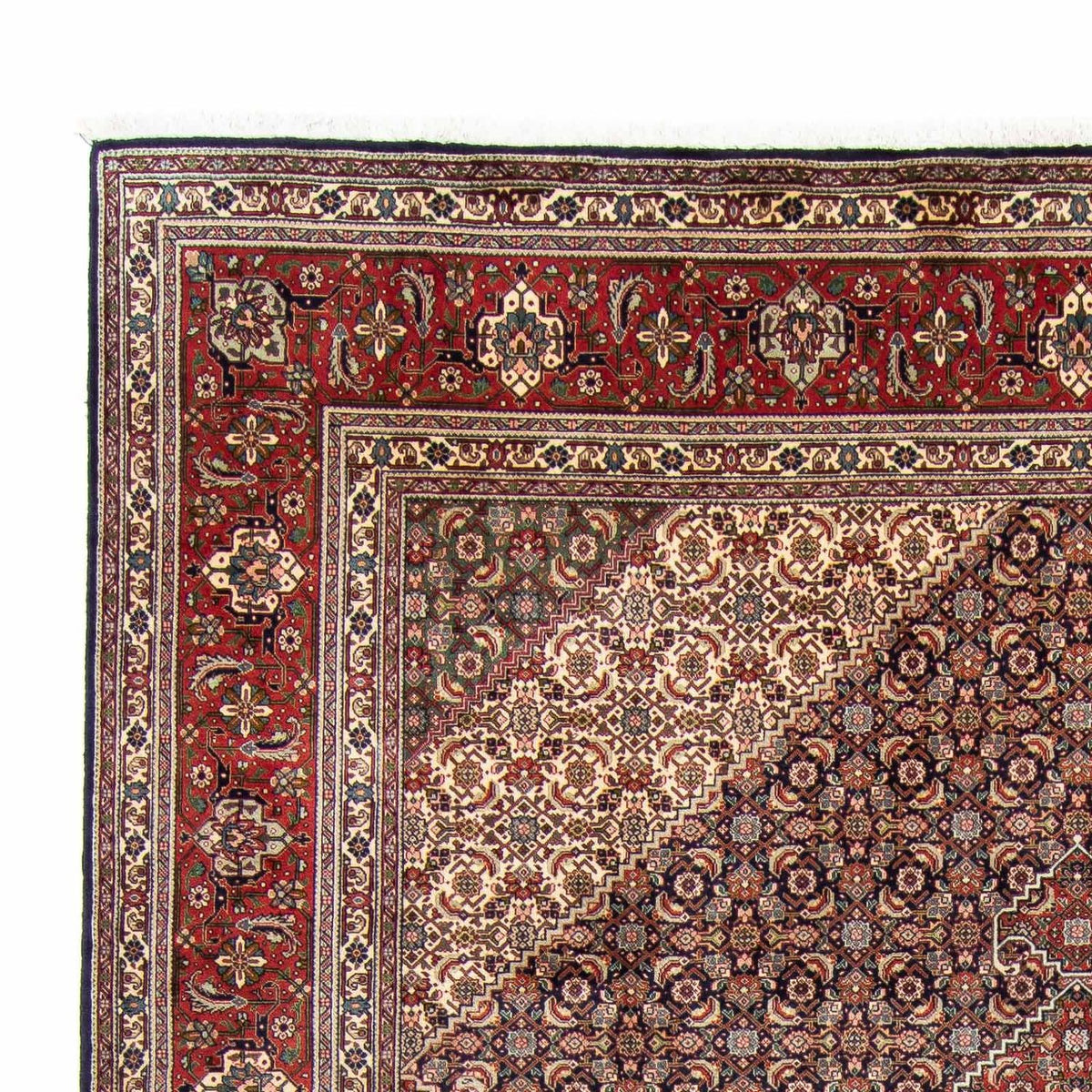 Tabriz Mattan 246x343cm - Persisk matta