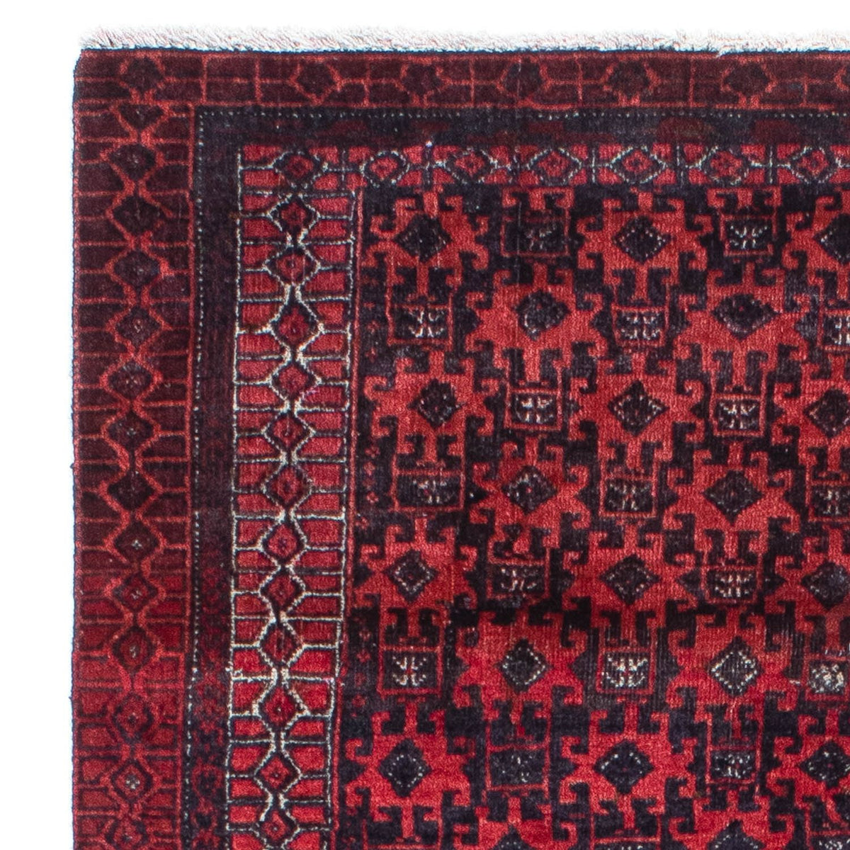 Baluch-matta 89x150cm - Oriental Carpet