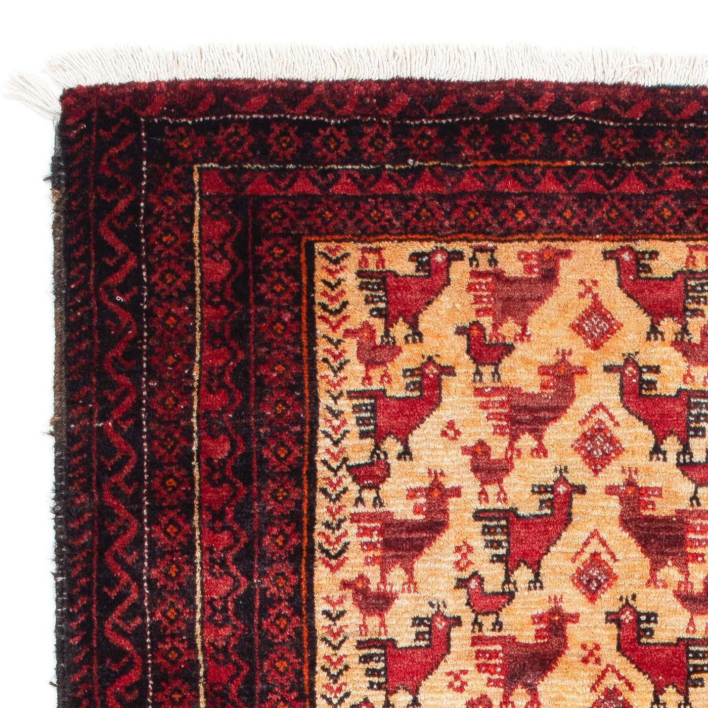 Baluch-matta 167x94cm - Oriental Carpet