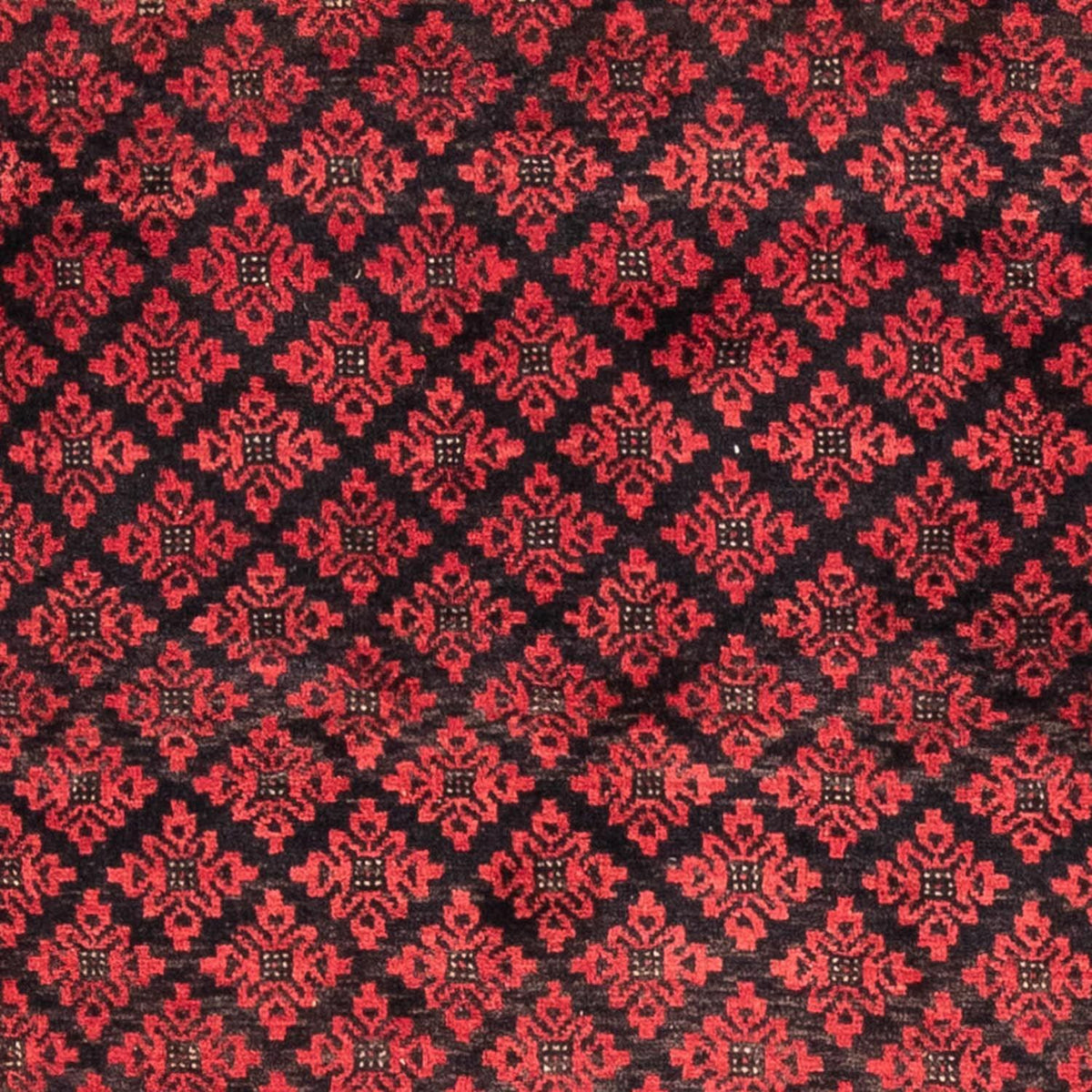 Runner Baluch-matta - 181 x 100 cm - röd