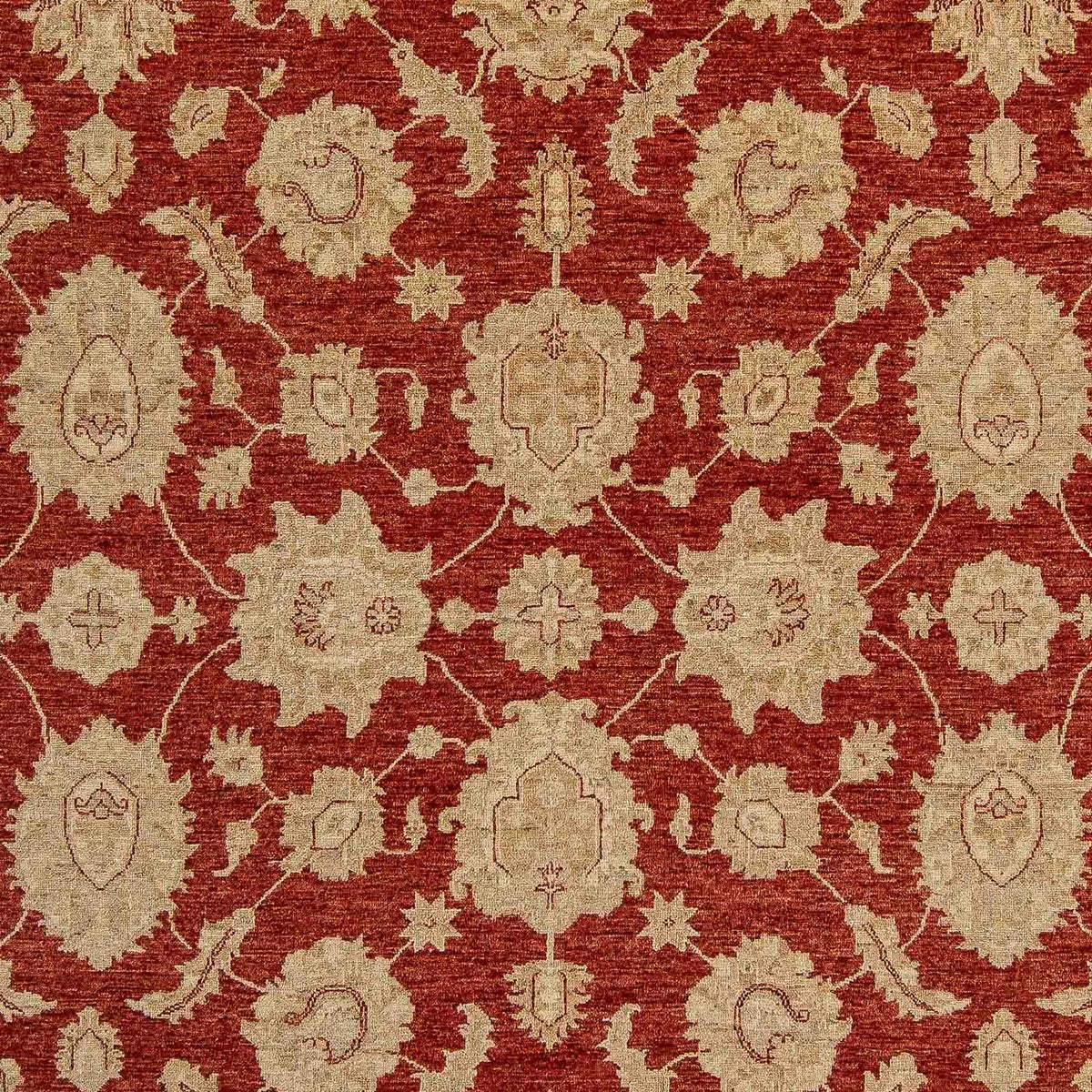 Ziegler Carpet - 321 x 244 cm - mörkröd