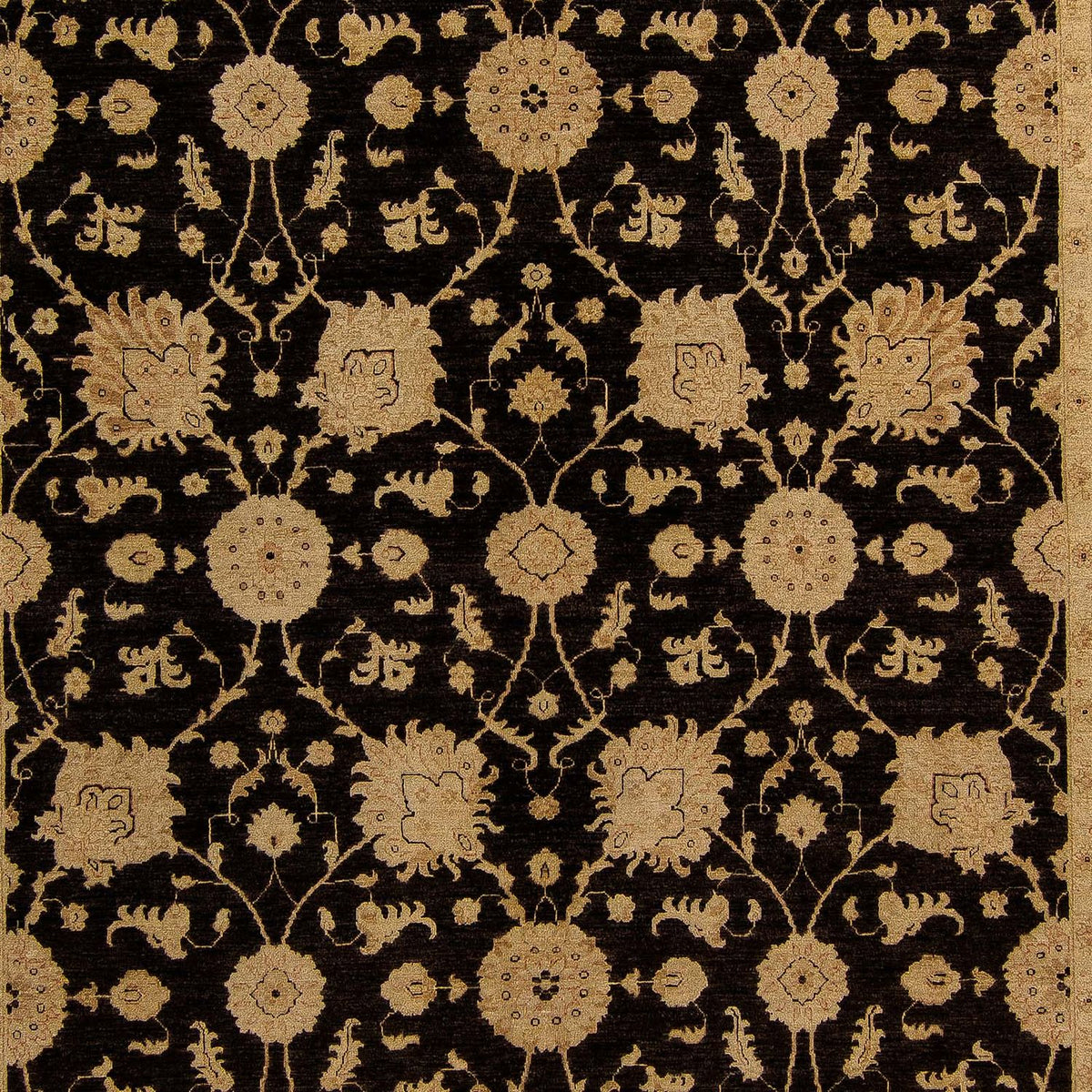 Ziegler Carpet - 405 x 295 cm - brun