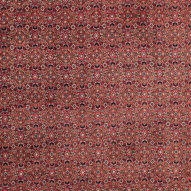 Persisk matta - Bijar - 299 x 203 cm - ljusröd