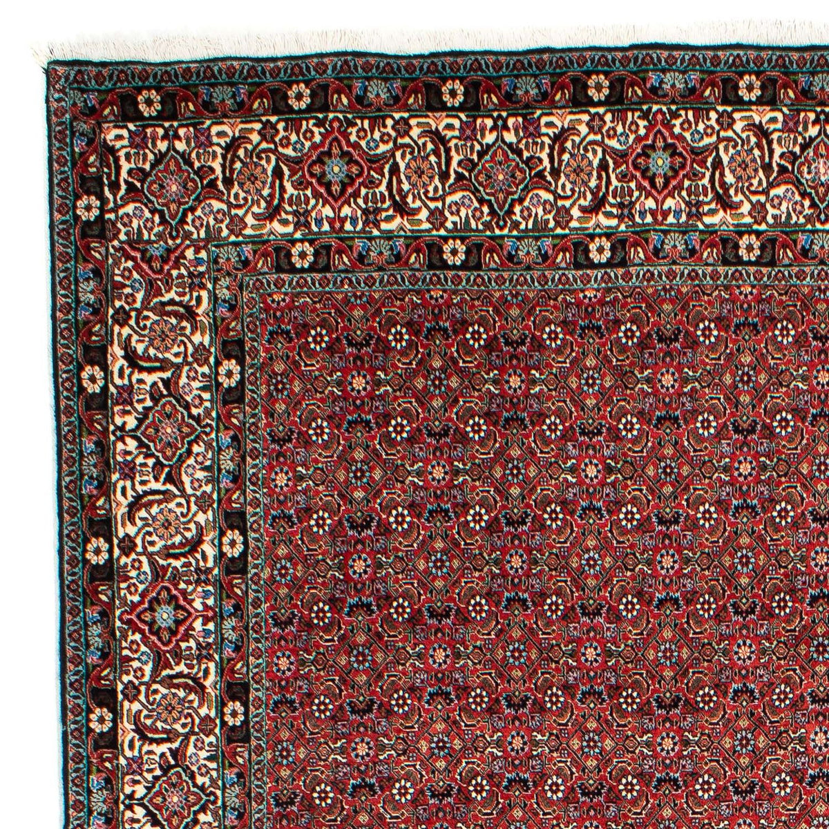 Bidjar Mattan 203x299cm - Persisk matta