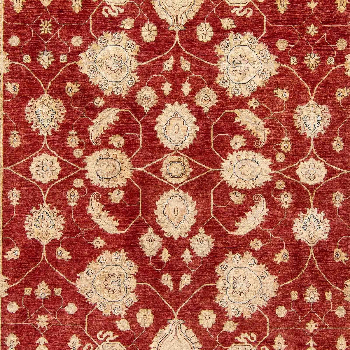 Ziegler Carpet - 390 x 295 cm - mörkröd