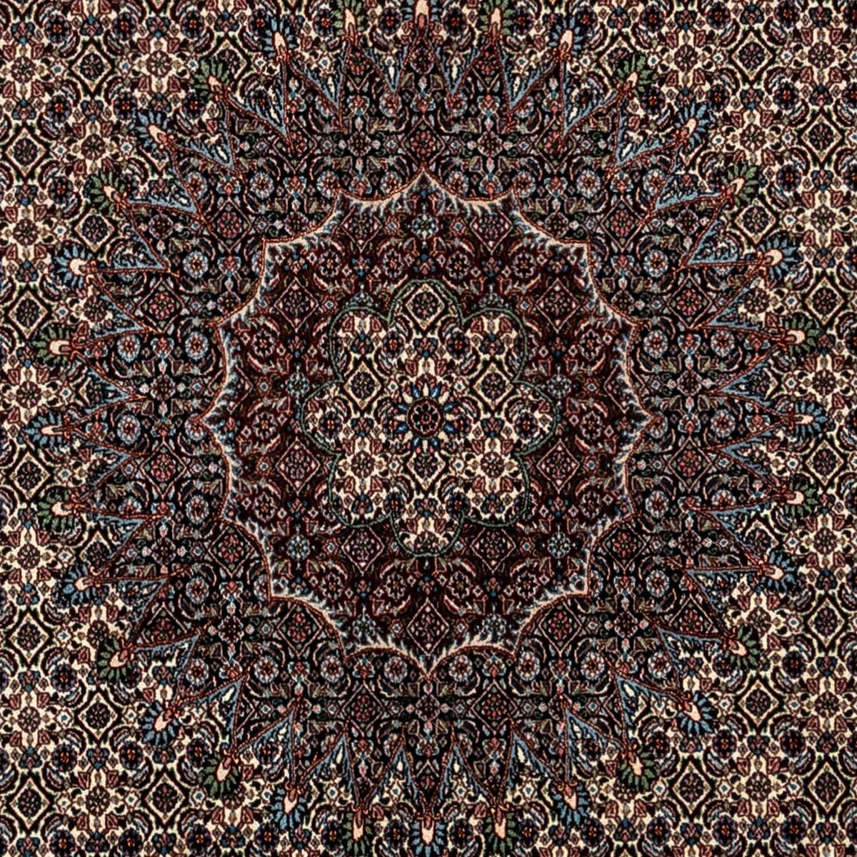 Persisk matta - Classic - 348 x 245 cm - beige