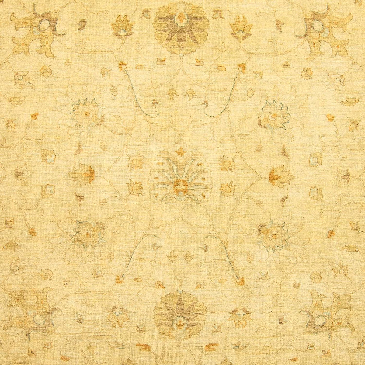 Ziegler Carpet - 349 x 274 cm - beige
