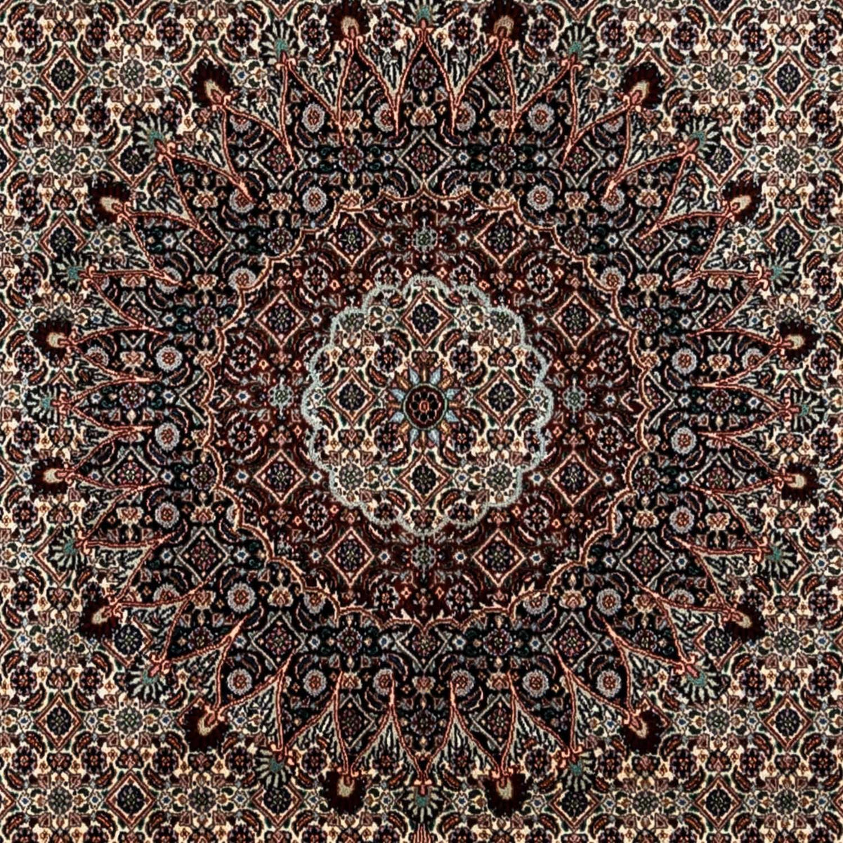 Persisk matta - Classic - 360 x 251 cm - beige