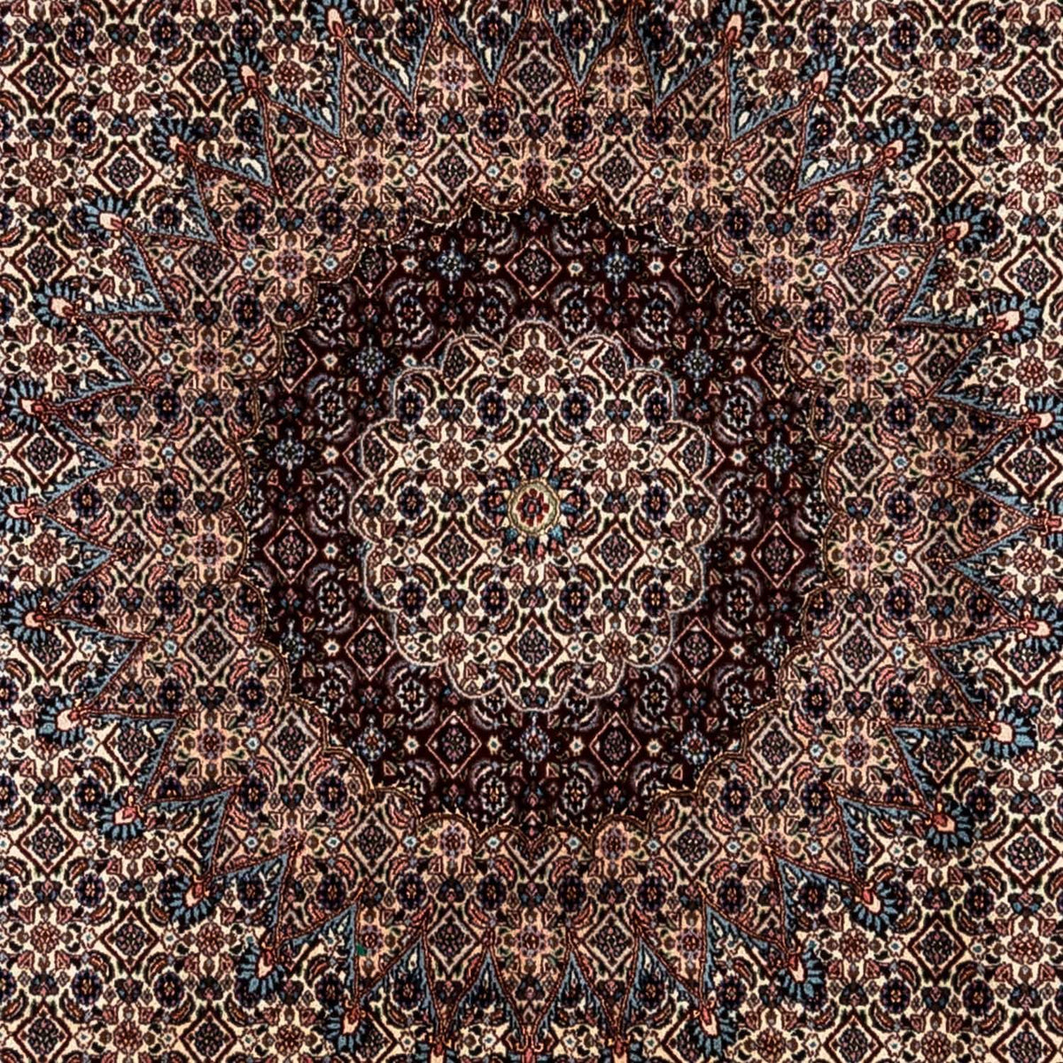 Persisk matta - Classic - 348 x 247 cm - beige