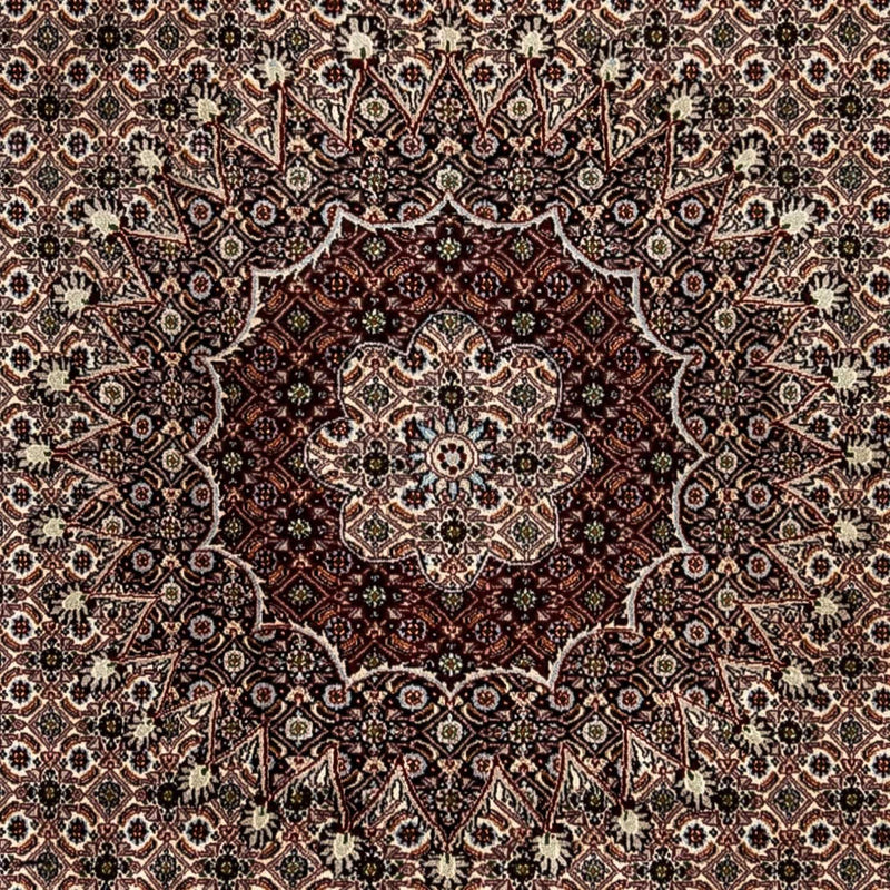 Persisk matta - Classic - 328 x 245 cm - beige