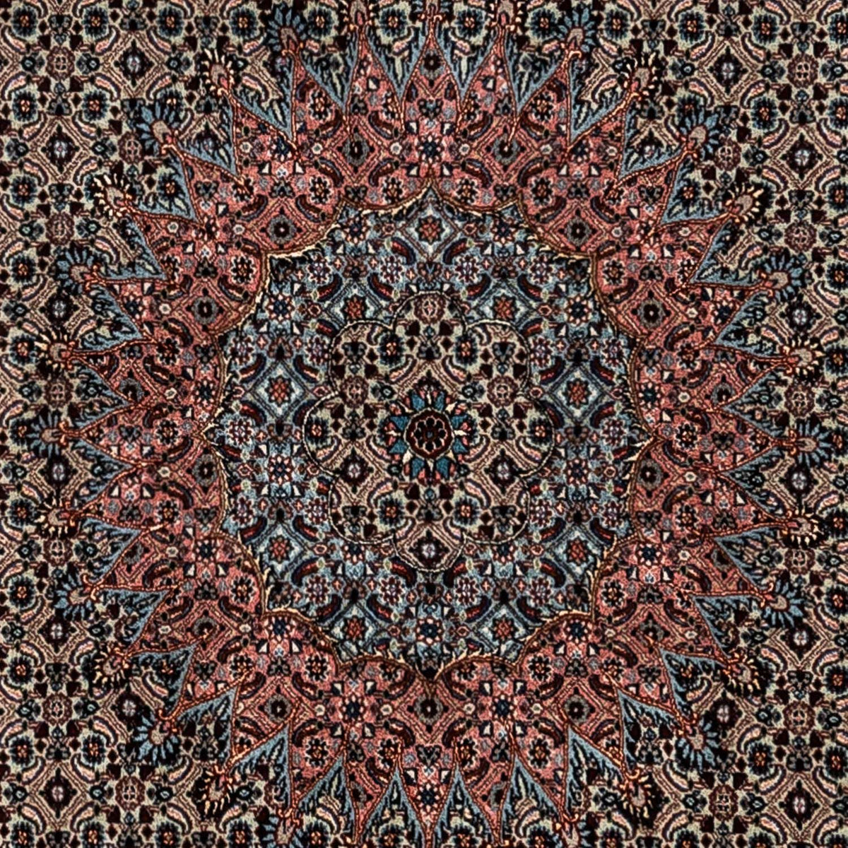 Persisk matta - Classic - 347 x 252 cm - ljus mocca