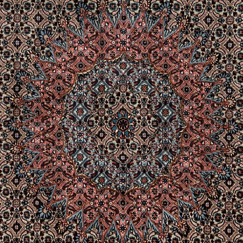 Persisk matta - Classic - 347 x 252 cm - ljus mocca