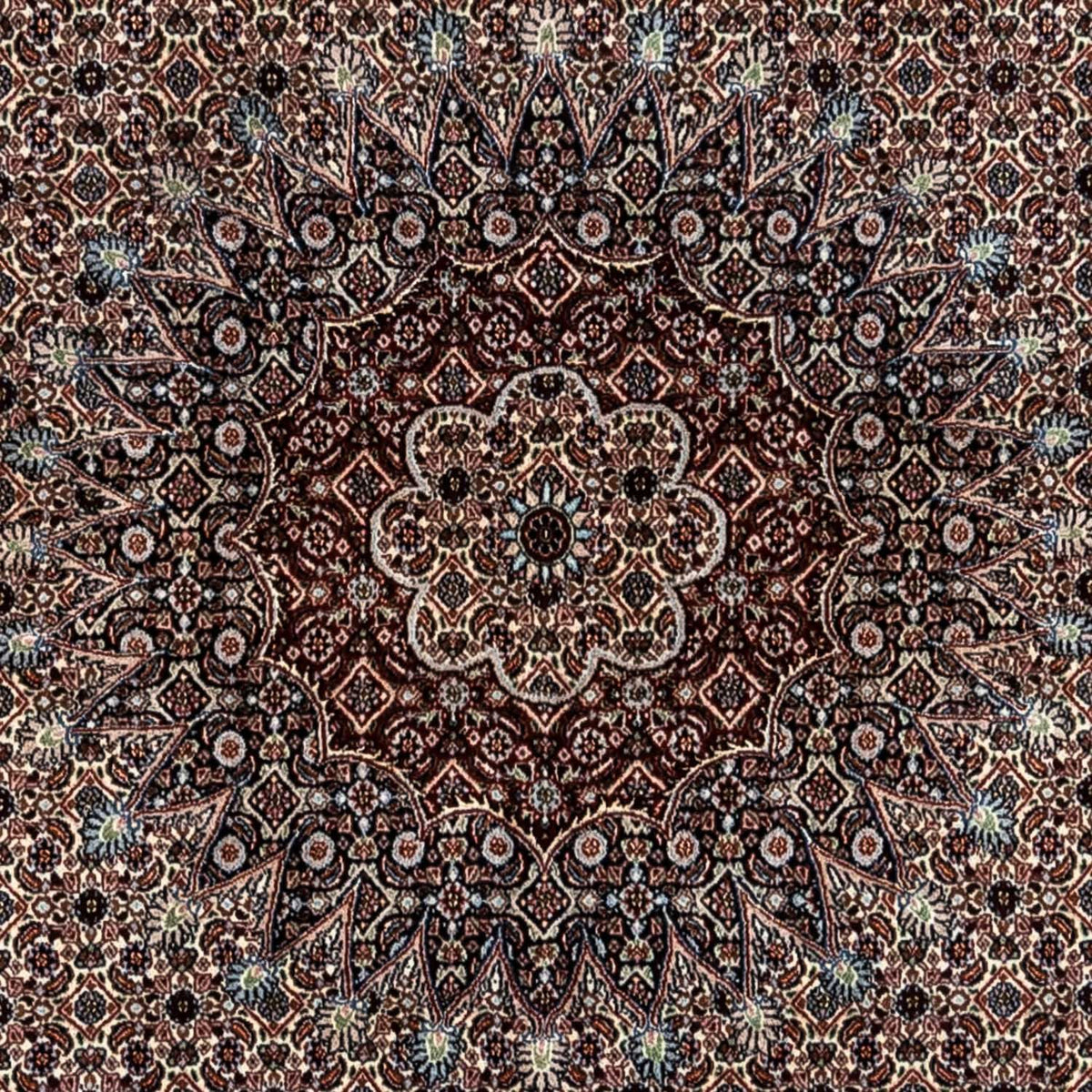 Persisk matta - Classic - 344 x 246 cm - beige