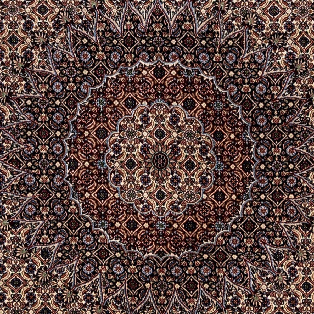 Persisk matta - Classic - 345 x 253 cm - beige