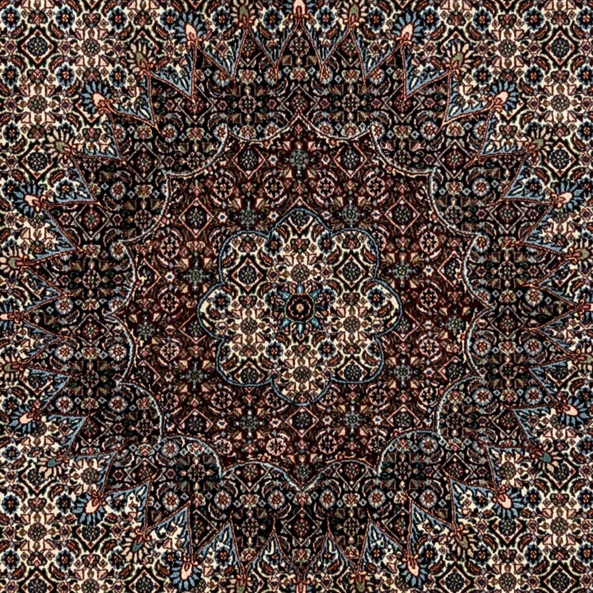 Persisk matta - Classic - 353 x 250 cm - beige