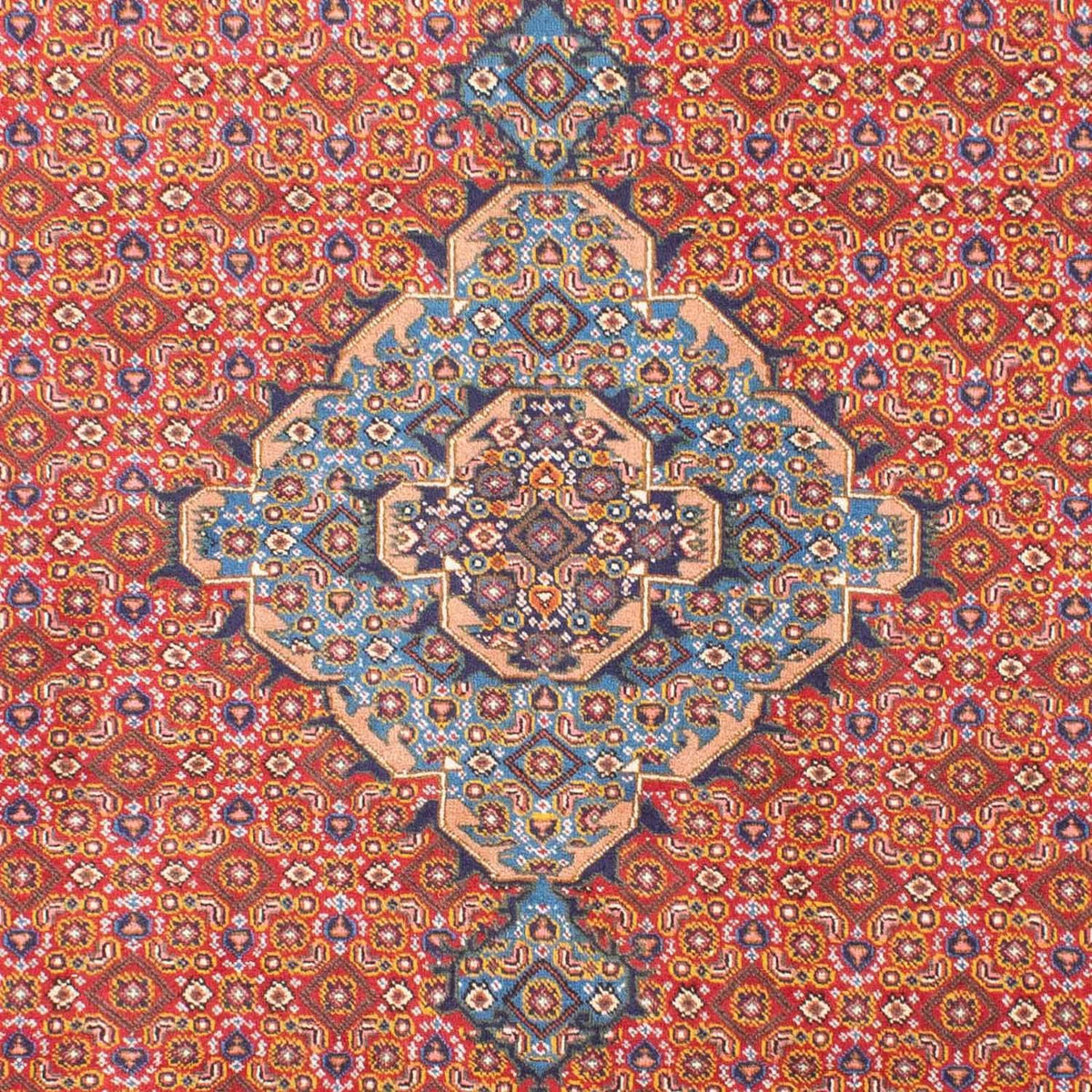 Persisk matta - Nomadic - 298 x 205 cm - ljusröd