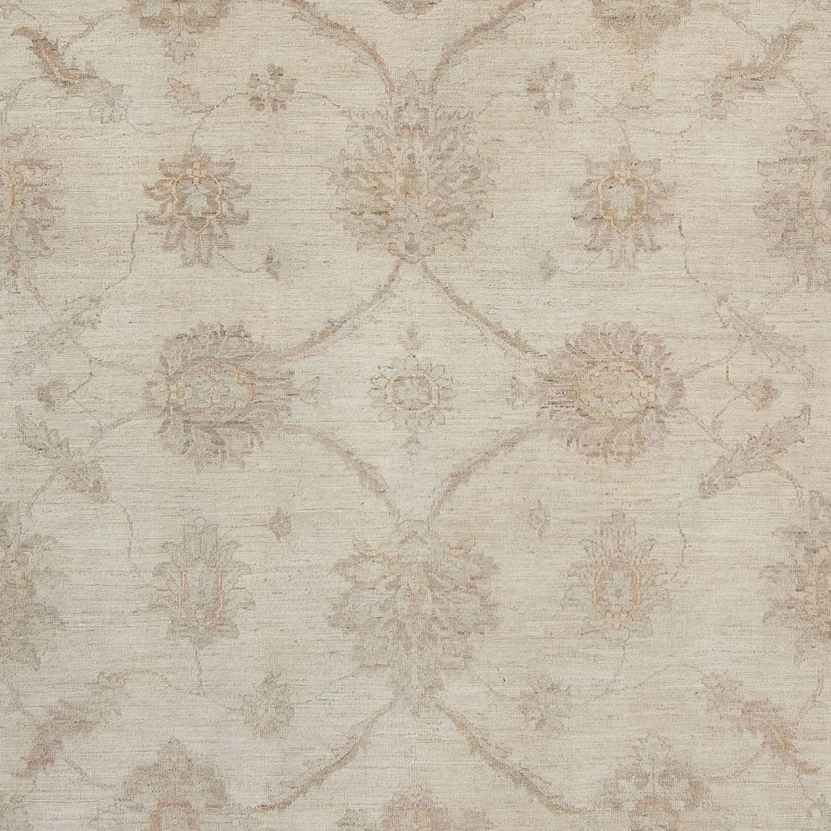 Ziegler Carpet - 340 x 250 cm - beige