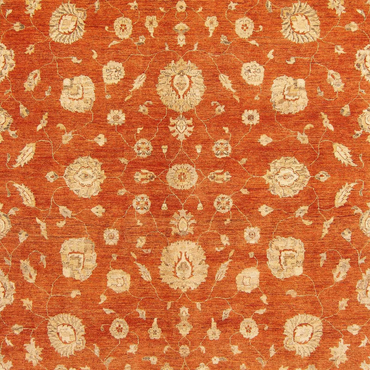 Ziegler Carpet - 386 x 296 cm - rost
