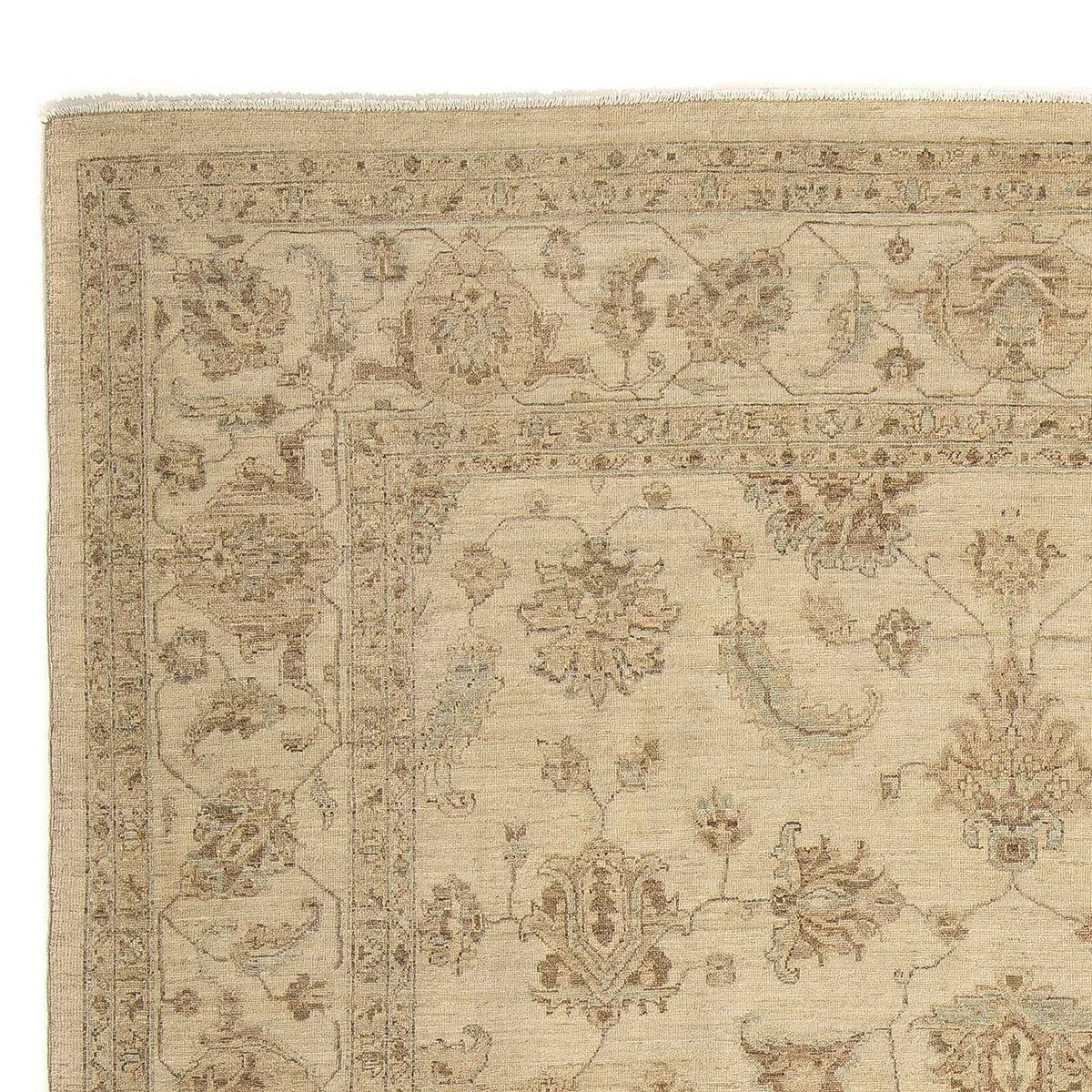 Ziegler Carpet 248x306cm - Oriental Carpet - ljusbrun