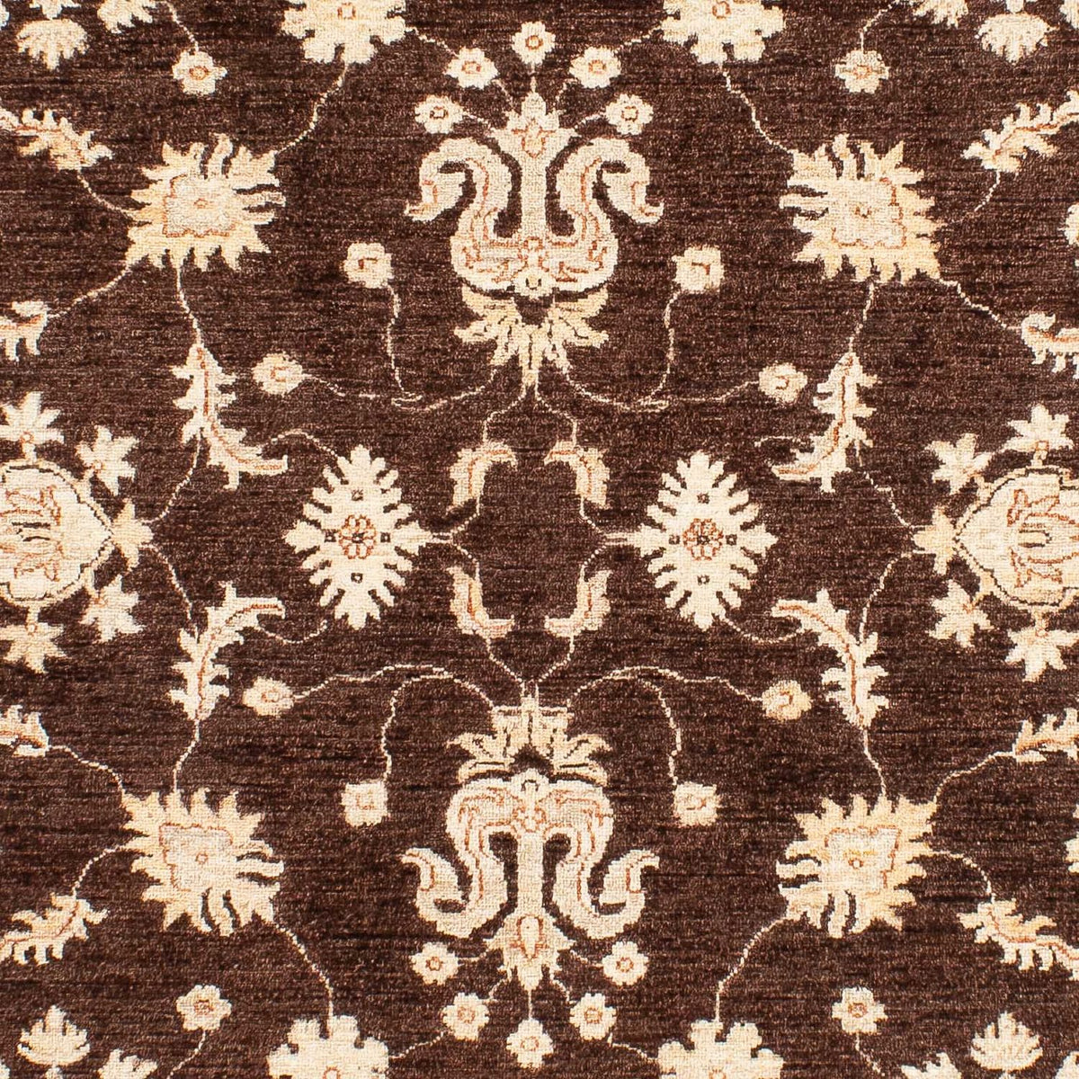 Ziegler Carpet - 235 x 164 cm - brun
