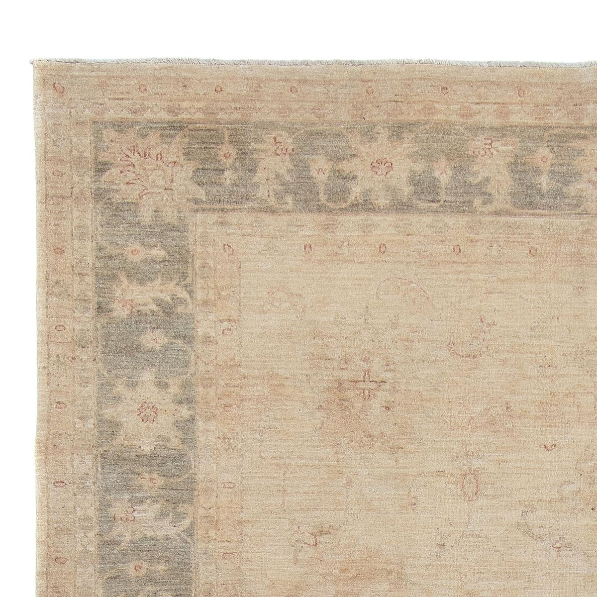 Ziegler Carpet 240x345cm - Oriental Carpet