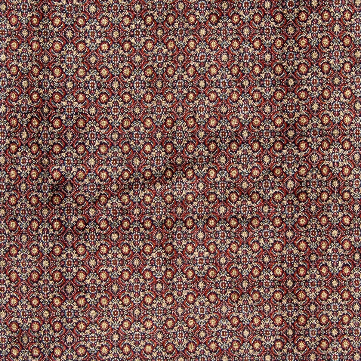 Persisk matta - Classic kvadrat  - 252 x 252 cm - flerfärgad