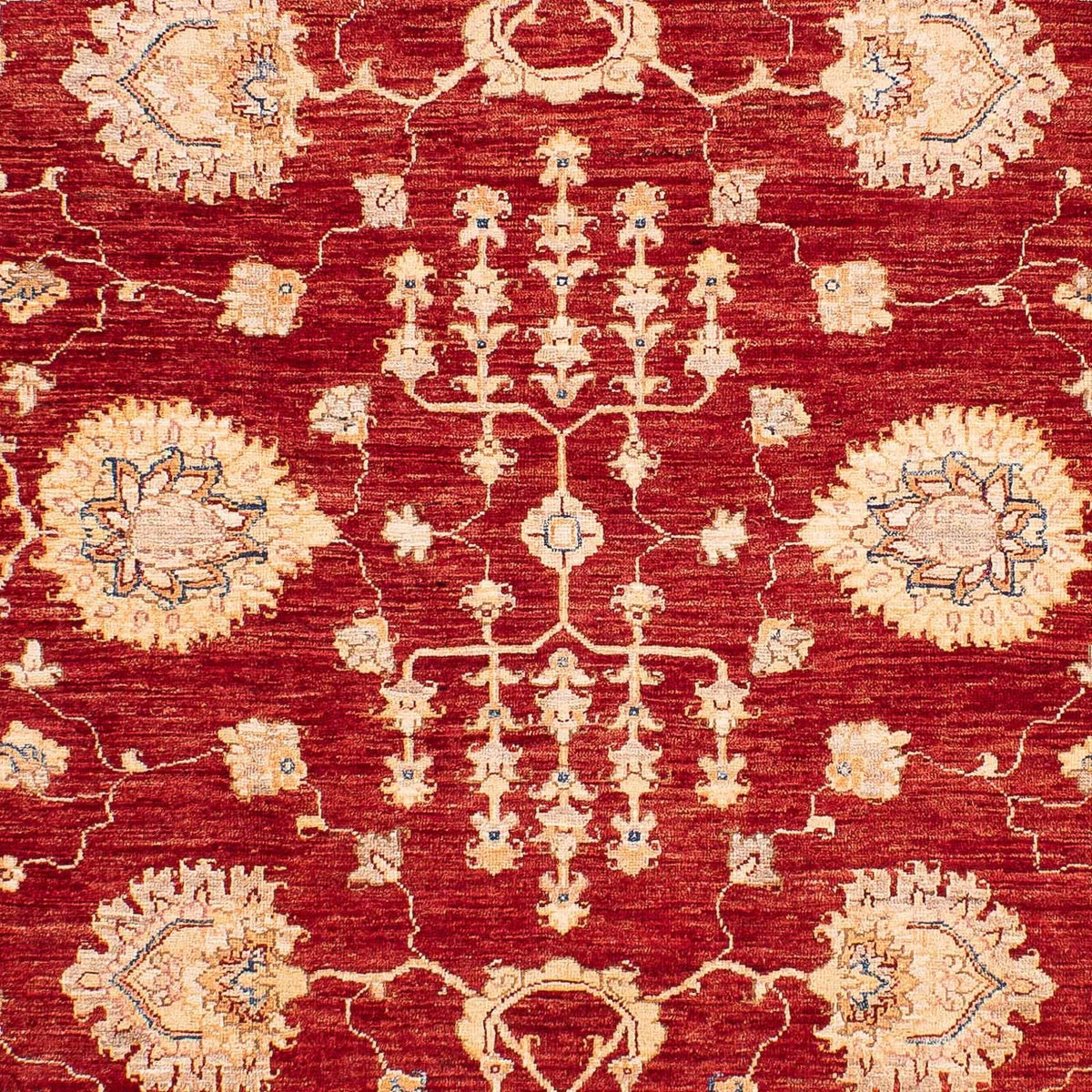 Ziegler Carpet - 218 x 169 cm - mörkblå