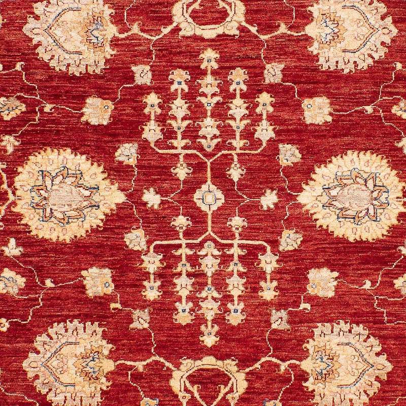 Ziegler Carpet - 218 x 169 cm - mörkblå