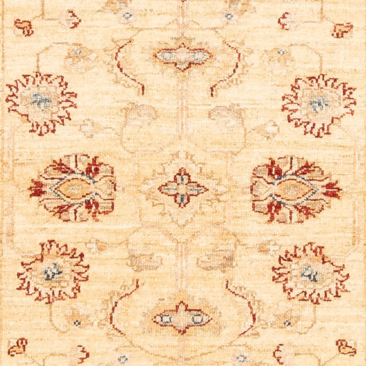 Runner Ziegler Carpet - 232 x 82 cm - beige