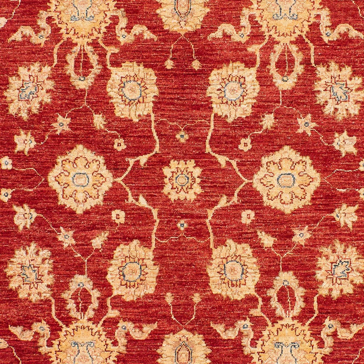 Ziegler Carpet - 245 x 163 cm - röd