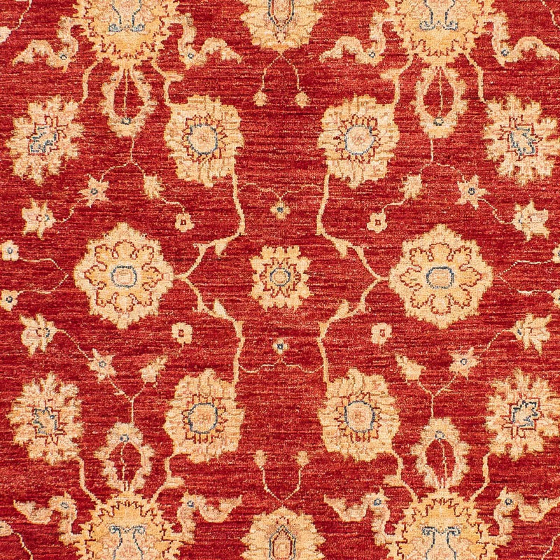 Ziegler Carpet - 245 x 163 cm - röd