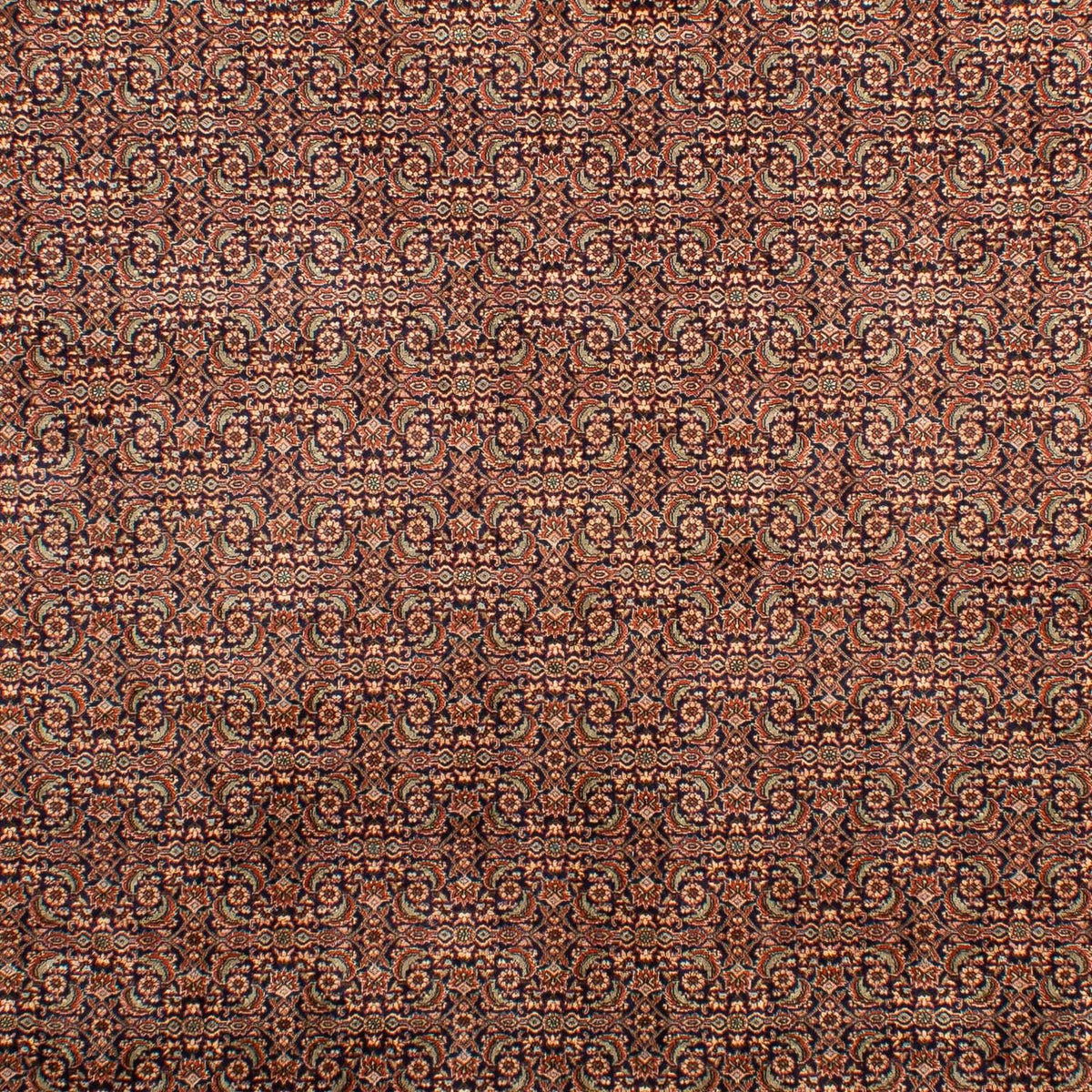 Persisk matta - Bijar - 298 x 202 cm - flerfärgad