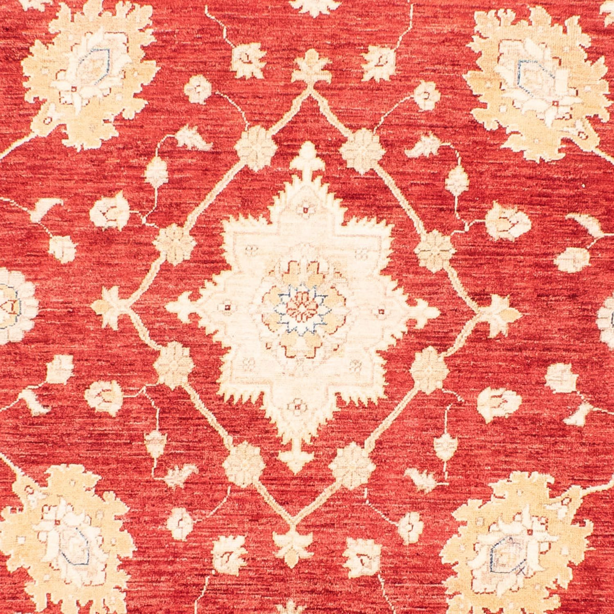 Ziegler Carpet - 310 x 243 cm - röd