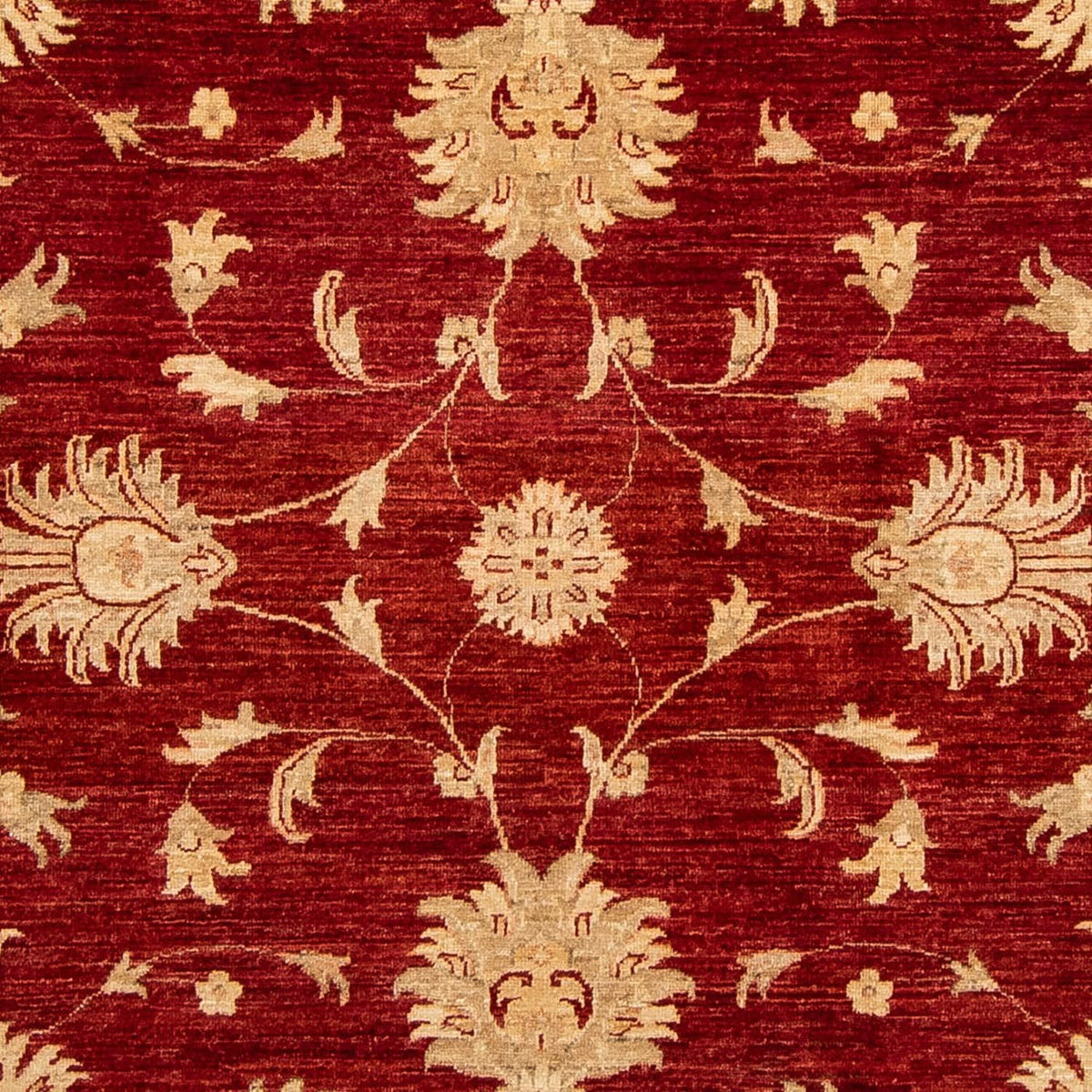 Ziegler Carpet - 285 x 207 cm - mörkröd