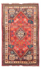 Shiraz Mattan 175x110cm - Persisk matta