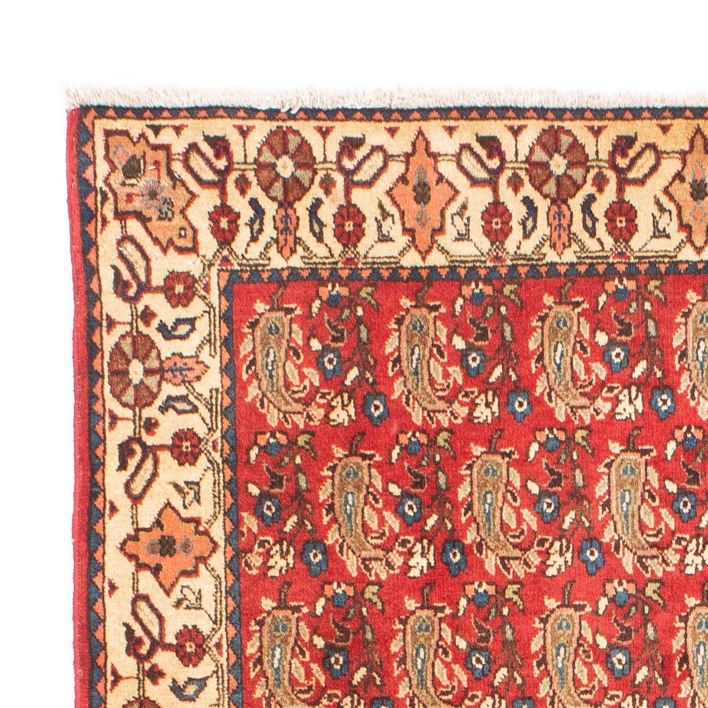 Shiraz Mattan 160x110cm - Persisk matta