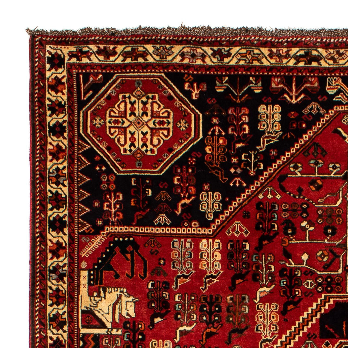 Shiraz Mattan 290x208cm - Persisk matta