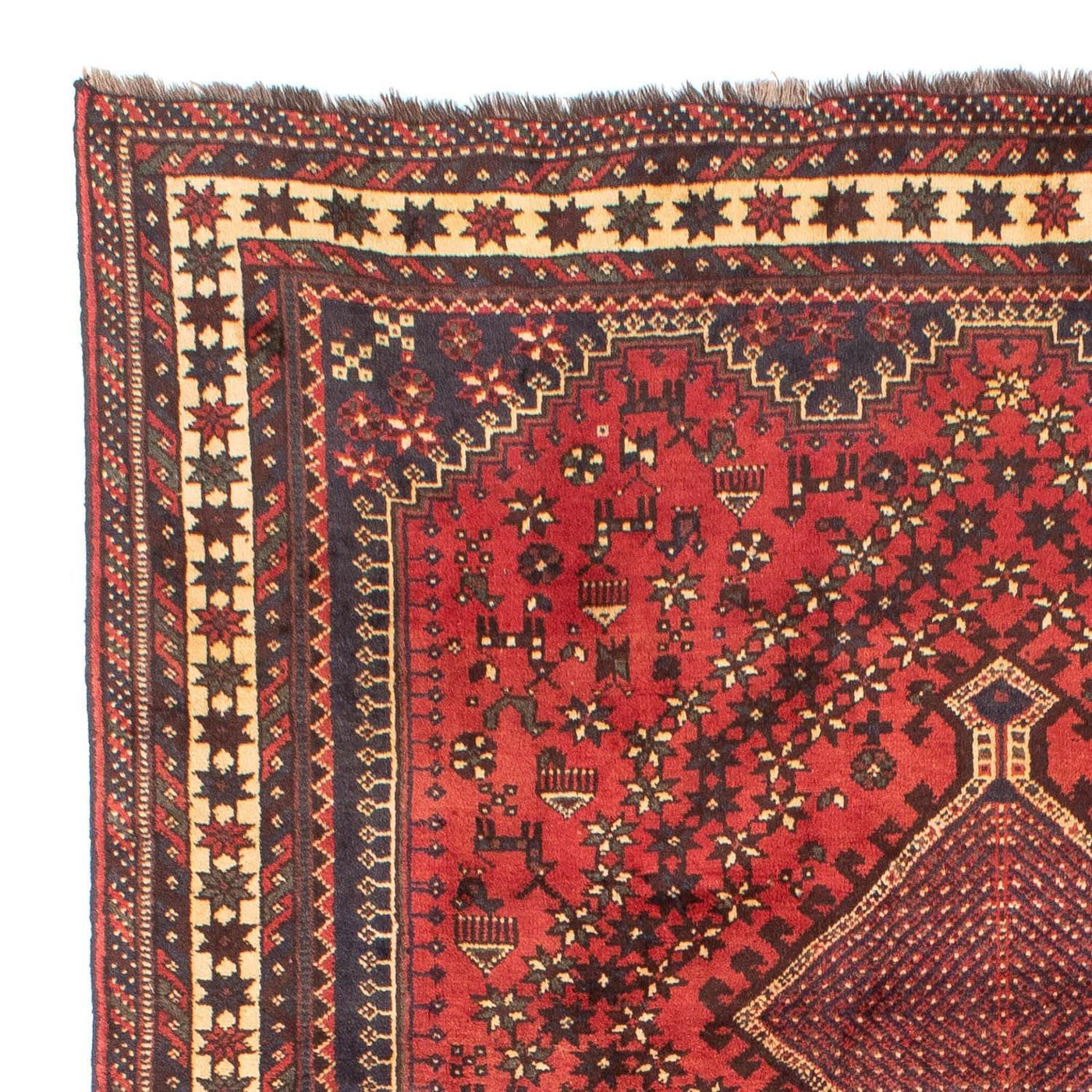 Shiraz Mattan 290x205cm - Persisk matta