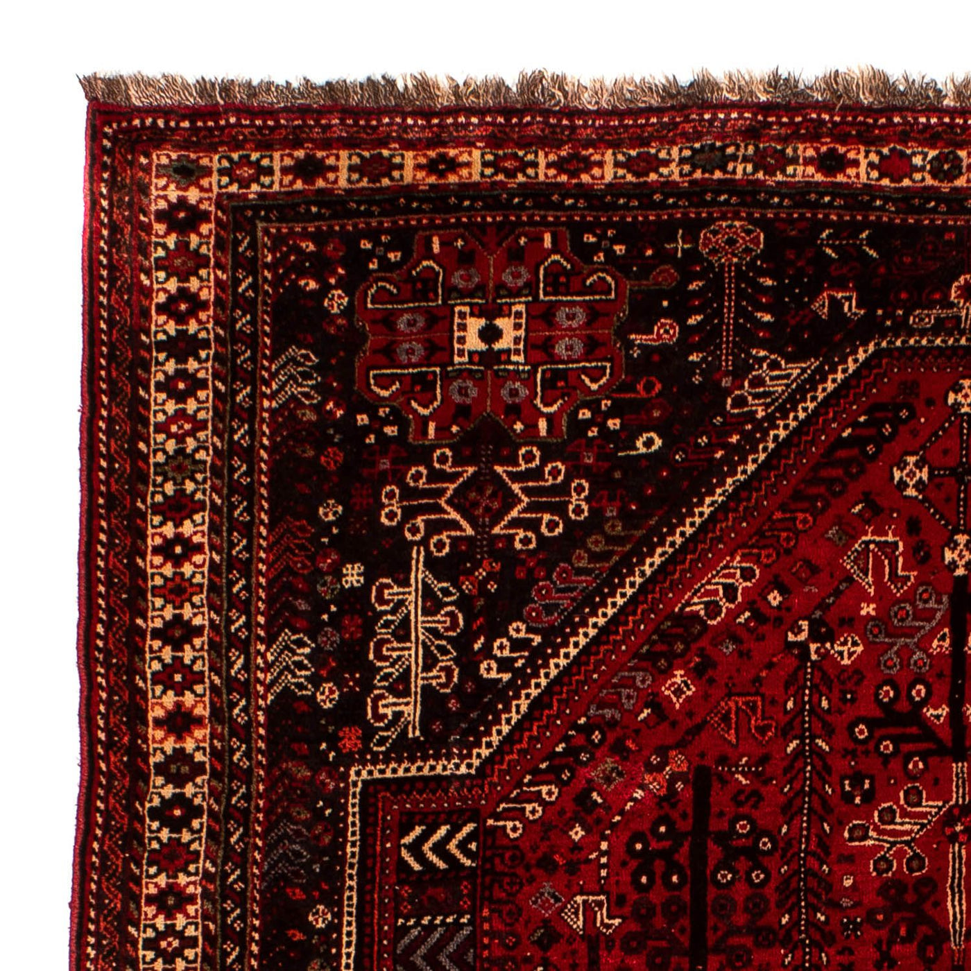 Shiraz Mattan 245x190cm - Persisk matta