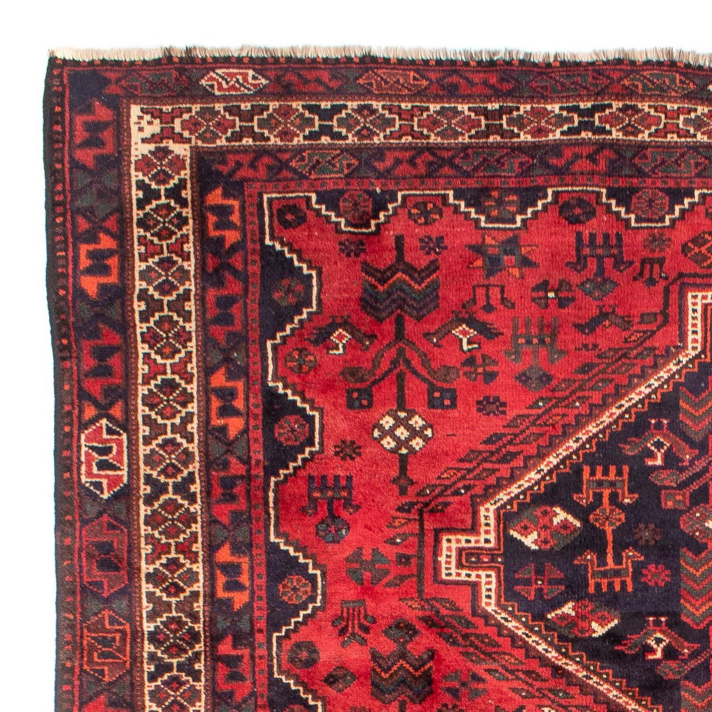 Shiraz Mattan 305x215cm - Persisk matta