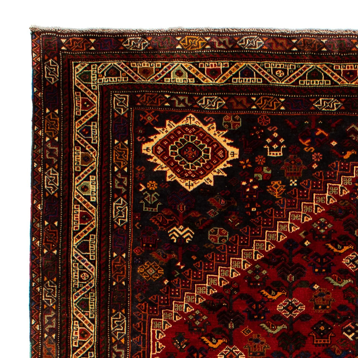 Shiraz Mattan 295x210cm - Persisk matta