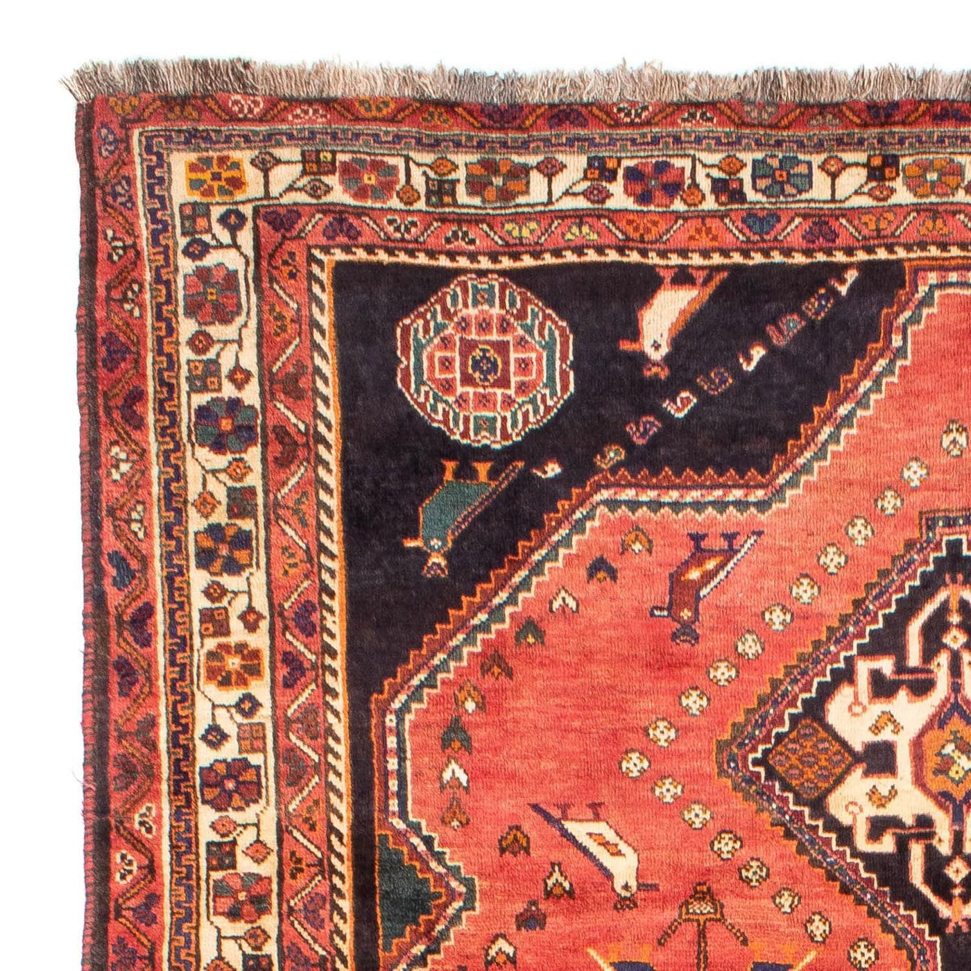 Shiraz Mattan 290x195cm - Persisk matta