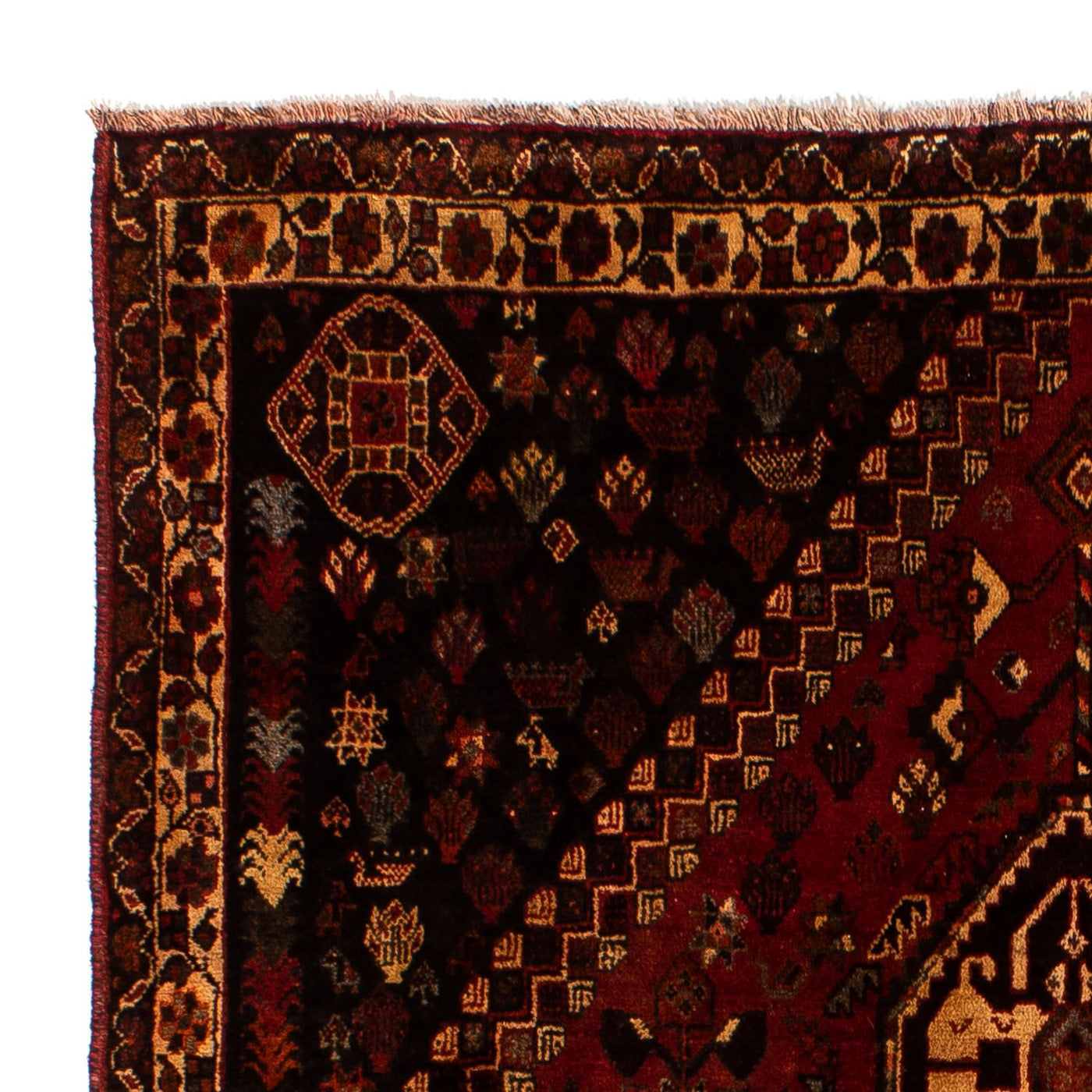 Shiraz Mattan 250x185cm - Persisk matta