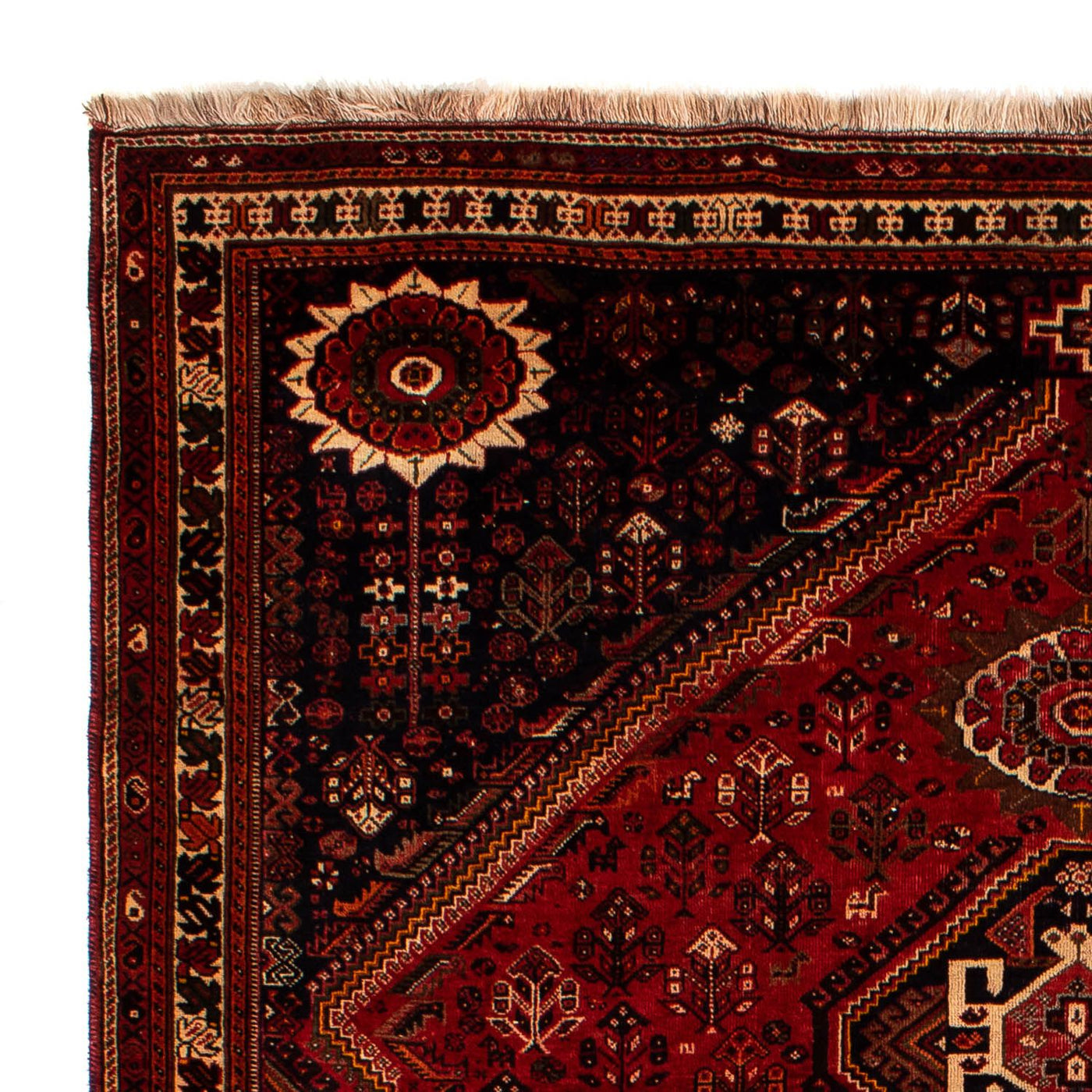 Shiraz Mattan 322x225cm - Persisk matta