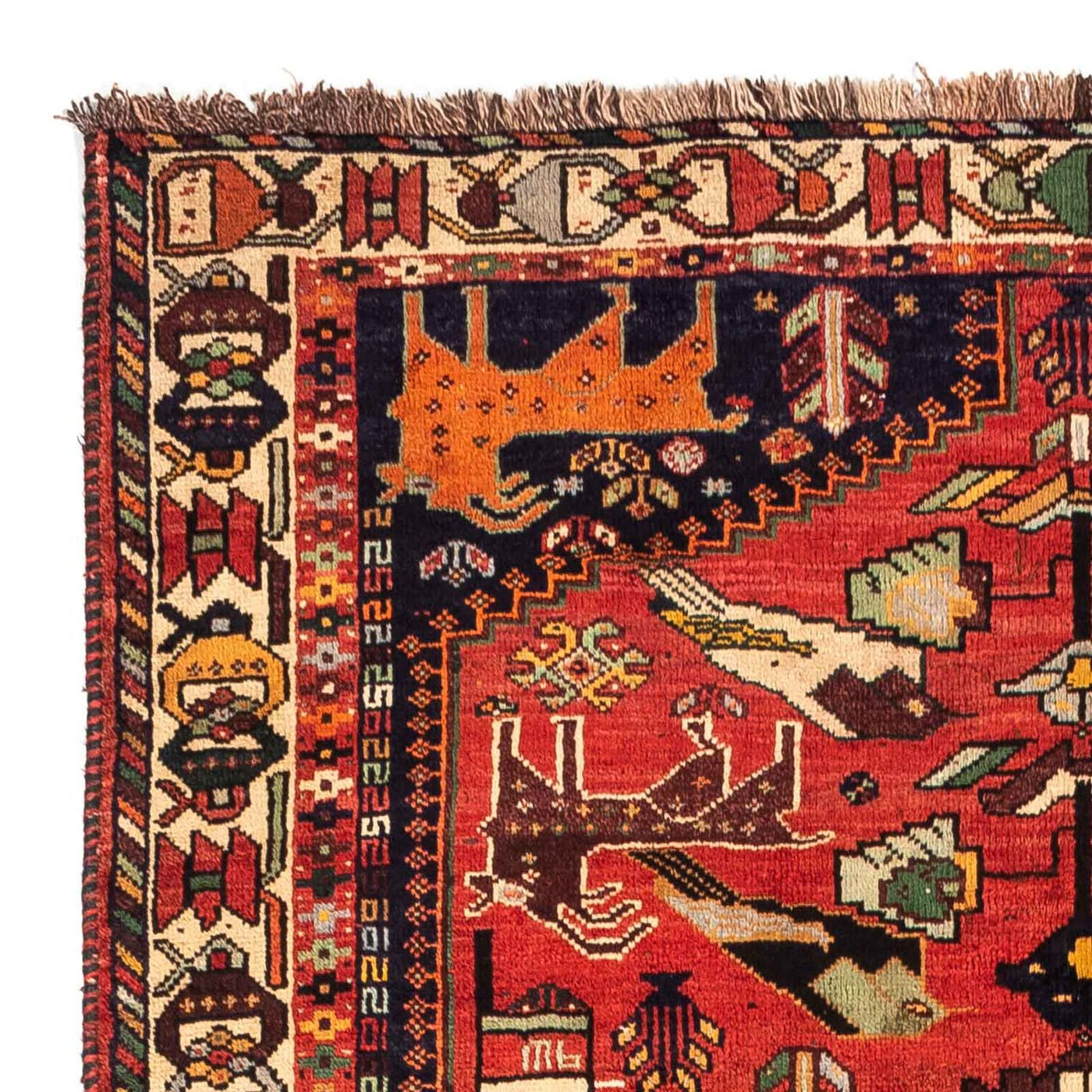 Shiraz Mattan 265x182cm - Persisk matta